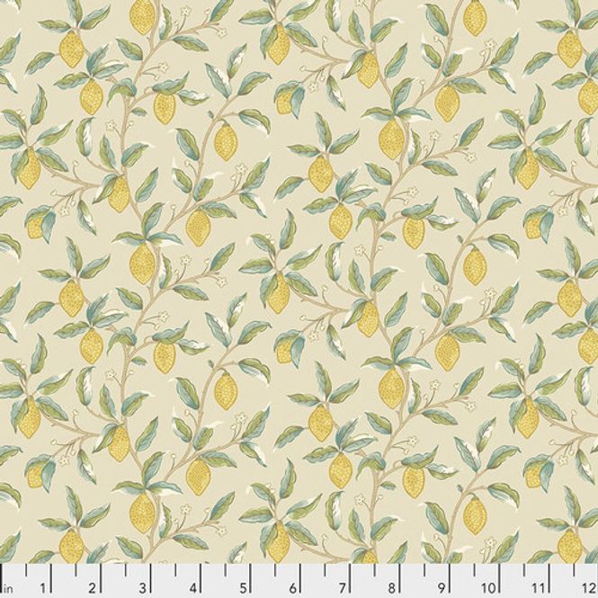 Hovedbilde Lemon Tree